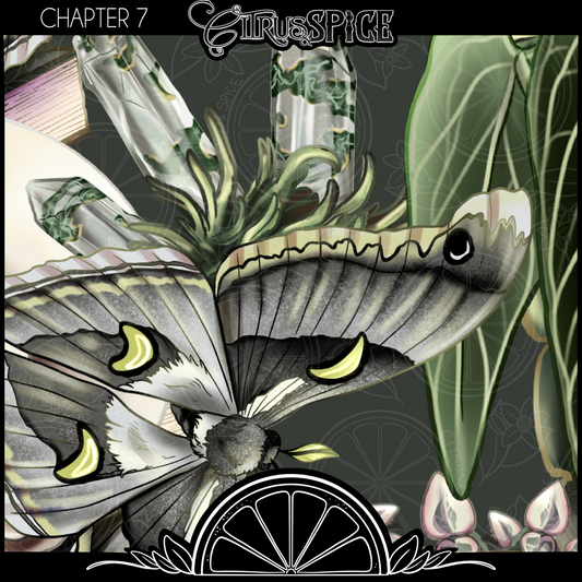 The Mystery Chapters: Chapter 7 & 8