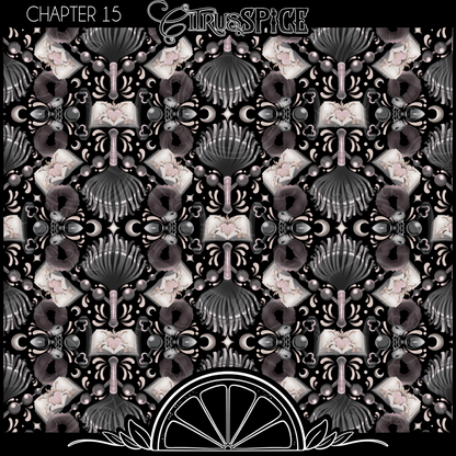 The Mystery Chapters// Chapter 14-16