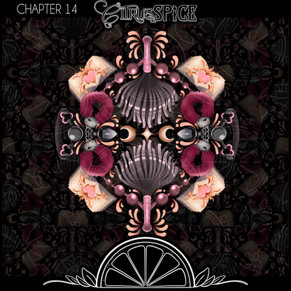The Mystery Chapters// Chapter 14-16
