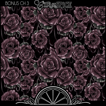 BONUS CHAPTERS: Roses and Chains