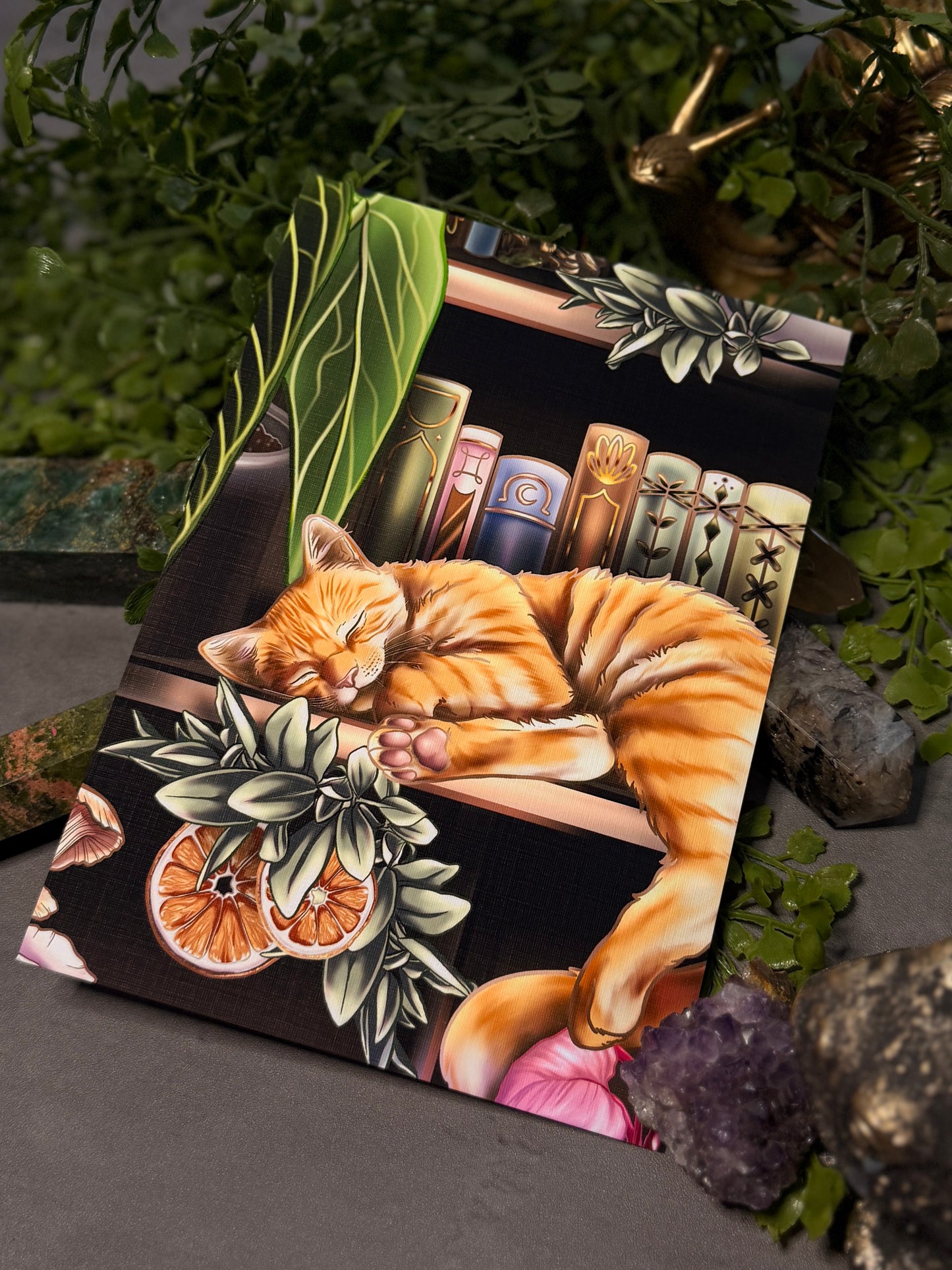 Kitty Bookshelf PRINT